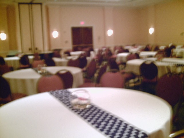 Wedding Reception Photo