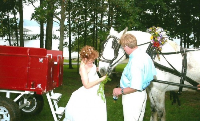 Bride With The Horse & Carraige