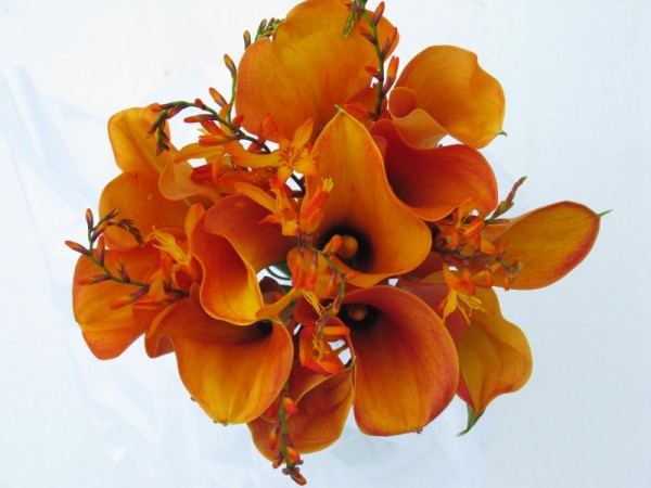 Orange Calla Lily Bridal Bouquet