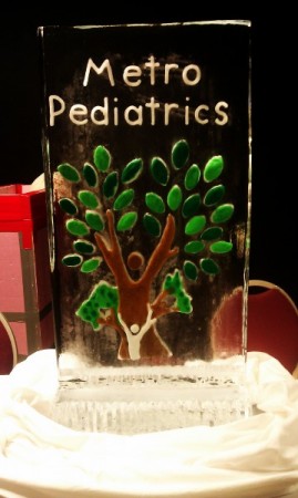 Metro Pediatric Ice Logo