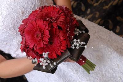 Red Gerbera Daisy Brides Bouquet