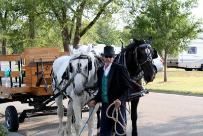 Wagon and team
