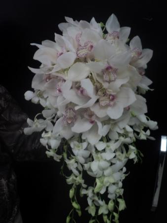 Orchid Cascade Wedding Bouquet