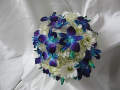 Blue Is Beautiful  