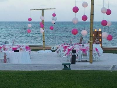 Dainty And Fun Pink And White