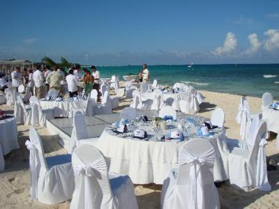Celebratory Beach Wedding