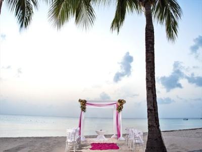 Intimate Wedding Ceremony 