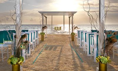 Exotic Peacock Wedding