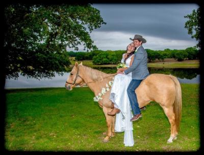 Bride Groom Horse 