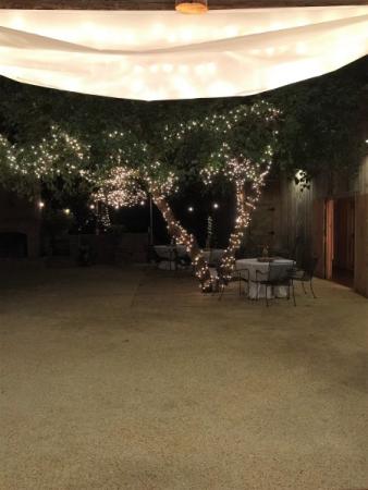 Outdoor Reception Space