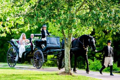 Wedding Carriage Rides
