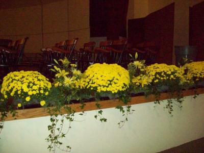 100_1596.JPG