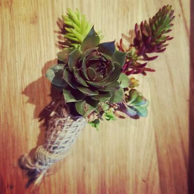 Succulent Boutoniere