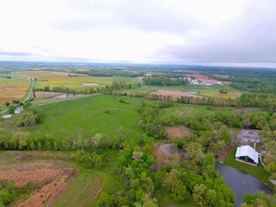 Great drone photo of Burdoc Farms! 