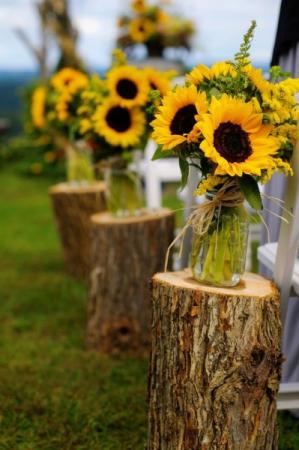 901f95f90439493b81572ee07f80d84d--sunflower-weddings-teal-and-sunflower-wedding.jpg
