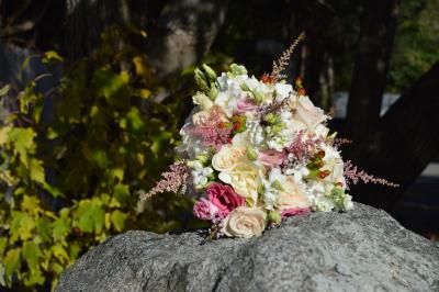 DSC_0228.JPG