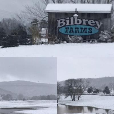 Winter months at Bilbrey Farms