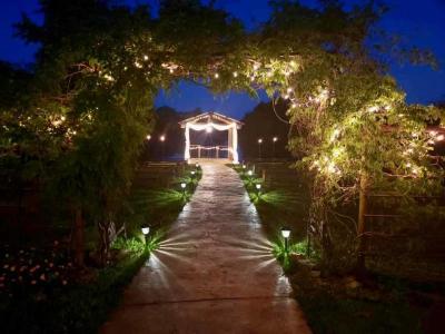 Lights Sparkle Along Pathway & On Dock