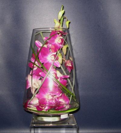 Orchids under glass