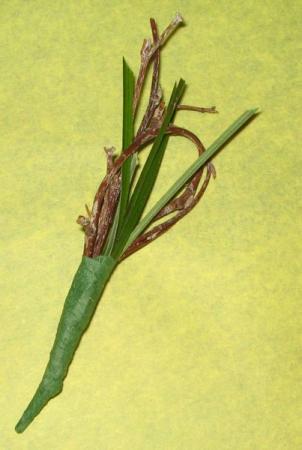 Unique Boutonniere