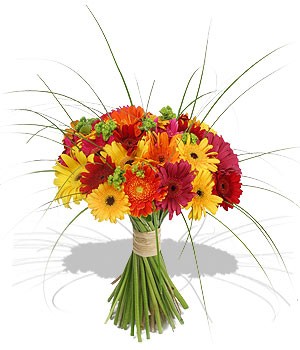 Gerbera Wedding Bouquet