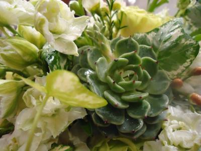 Suculent Wedding Bouquet